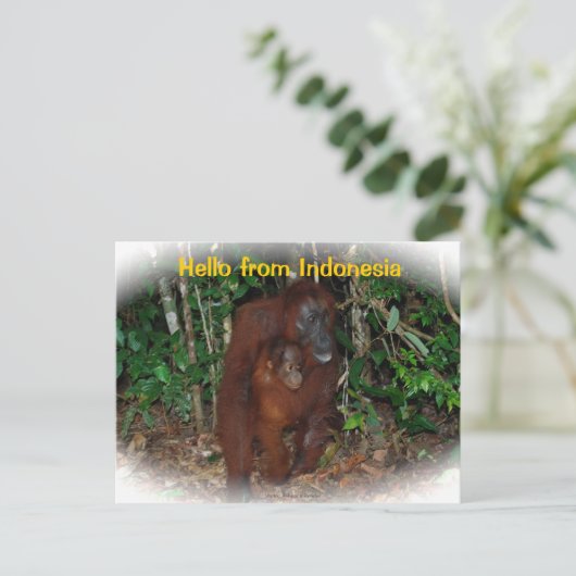 Moeder Orangutan en Baby in Natuur Briefkaart (Staand voorkant)