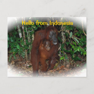 Moeder Orangutan en Baby in Natuur Briefkaart