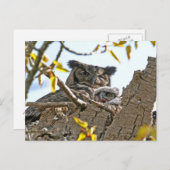Moeder Owl en Baby in Nest Briefkaart (Voorkant / Achterkant)