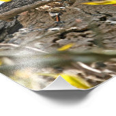 Moeder Owl en Baby in Nest Foto Afdruk (Hoek)