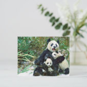 Moeder Panda Briefkaart (Staand voorkant)
