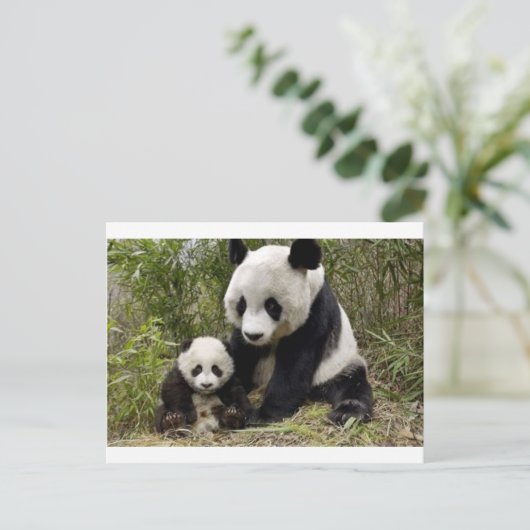 Moeder Panda met haar welp Briefkaart (Staand voorkant)