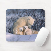 Moeder Polar-Beer met tweeling, Muismat (Met muis)