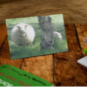 Moeder Schapen en lammeren Kaart