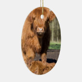 Moeder schotse hooglandkoe nabij pasgeboren kalf keramisch ornament (Rechts)