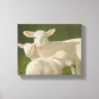 Moeder Sheep Canvas Afdruk