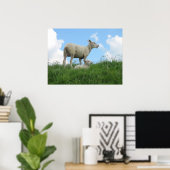Moeder Sheep en haar Lamb Grass Photo Poster Print (Thuiskantoor)