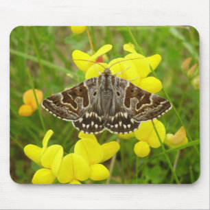 Moeder Shipton Moth Mouse Mat Muismat