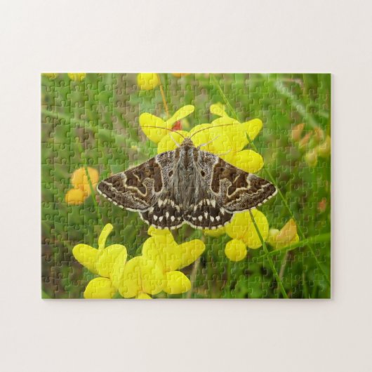 Moeder Shipton Moth Photo Puzzle met Gift Box Legpuzzel (Horizontaal)