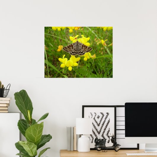 Moeder Shipton Moth Poster (Thuiskantoor)