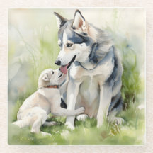 Moeder Siberische Husky Hond Moeder Verf Achtergro