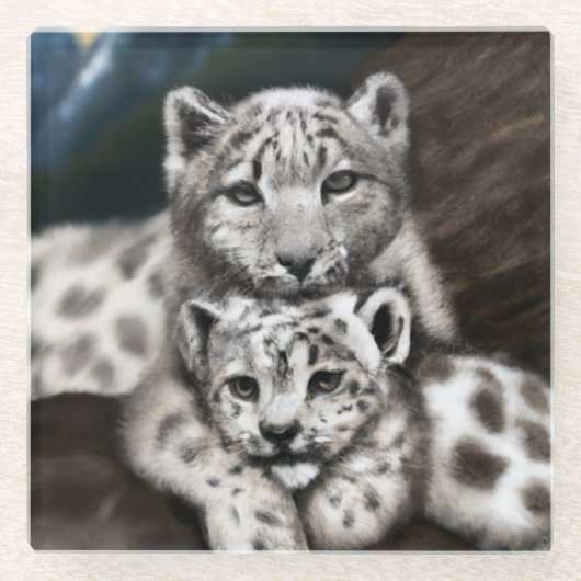 Moeder Sneeuwluipaard en kubus in de bergen Glazen Onderzetter (Voorkant)