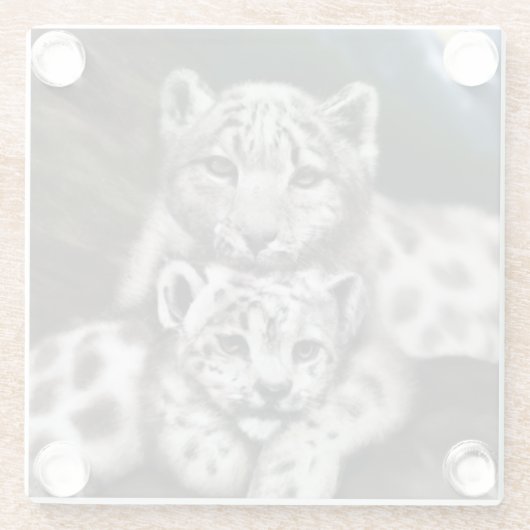 Moeder Sneeuwluipaard en kubus in de bergen Glazen Onderzetter (Achterkant)