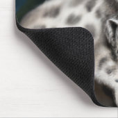 Moeder Sneeuwluipaard en kubus in de bergen Muismat (Hoek)