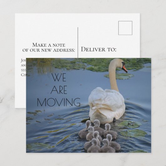 Moeder Swan Baby Cygnets Water Change of Address Aankondigingskaart (Voorkant / Achterkant)