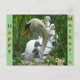 Moeder Swan met baby's Moederdag Briefkaart