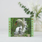 Moeder Swan met baby's Moederdag Briefkaart (Staand voorkant)