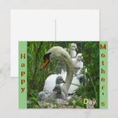 Moeder Swan met baby's Moederdag Briefkaart (Voorkant / Achterkant)