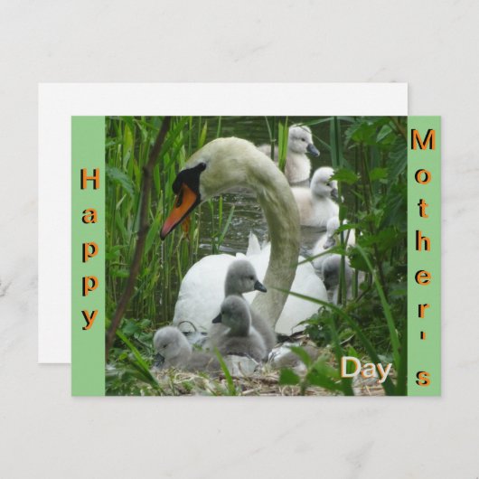 Moeder Swan met baby's Moederdag Briefkaart (Voorkant / Achterkant)
