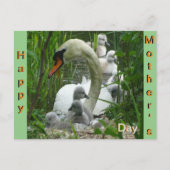 Moeder Swan met baby's Moederdag Briefkaart (Voorkant)