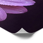 Moeder Theresa quote 24 x 24 inch, Poster Paper (Hoek)