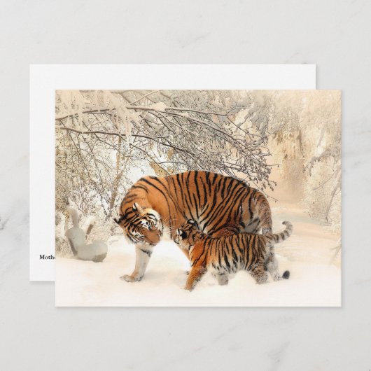 Moeder Tiger en Cub in de Snowy-Bossen Briefkaart (Voorkant / Achterkant)