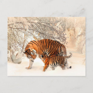 Moeder Tiger en Cub in de Snowy-Bossen Briefkaart
