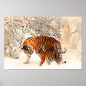 Moeder Tiger en Cub in de Snowy-Bossen Poster (Voorkant)