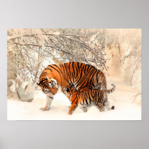 Moeder Tiger en Cub in de Snowy-Bossen Poster