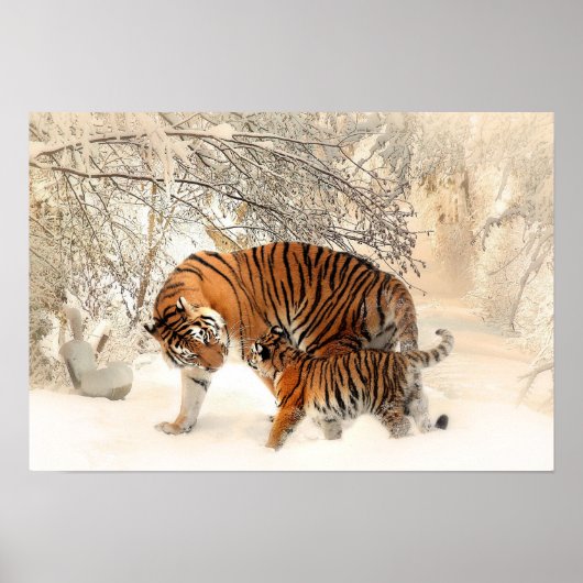 Moeder Tiger en Cub in de Snowy-Bossen Poster (Voorkant)