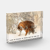 Moeder tijger en Bespaart Inspirerende Citaat Fotoblokken (Links)