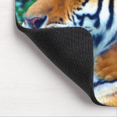 Moeder tijger met klimmen en teitten op Baby Muismat (Hoek)