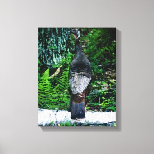 Moeder Turkey Wrapped Canvas Afdruk (Voorkant)