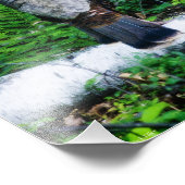 Moeder Turkije Foto Foto Afdruk (Hoek)