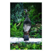 Moeder Turkije Foto Foto Afdruk (Voorkant)