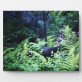 Moeder Turkije in Ferns Plaque Fotoplaat (Voorkant)