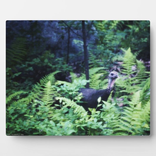 Moeder Turkije in Ferns Plaque Fotoplaat (Voorkant)