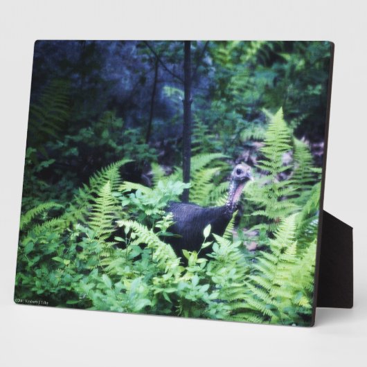 Moeder Turkije in Ferns Plaque Fotoplaat (Zijkant)