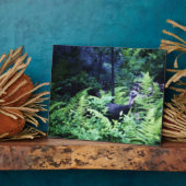 Moeder Turkije in Ferns Plaque Fotoplaat (Zijkant)