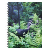 Moeder Turkije in het Notitieboek Ferns (Voorkant)