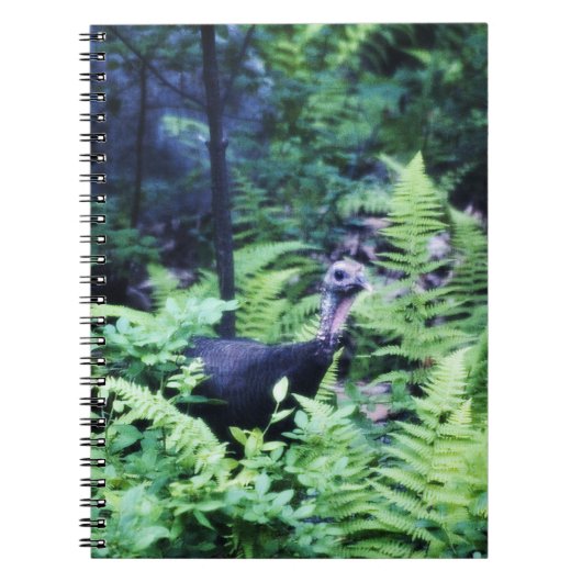 Moeder Turkije in het Notitieboek Ferns (Voorkant)