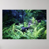 Moeder Turkije in het Poster Ferns (Voorkant)