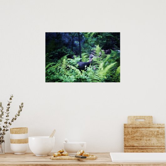 Moeder Turkije in het Poster Ferns (Keuken)