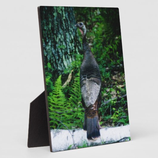 Moeder Turkije Plaque Fotoplaat (Zijkant)