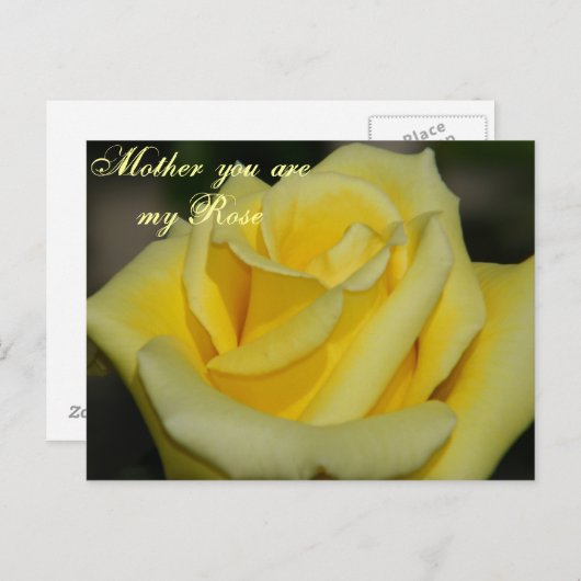 Moeder U bent mijn Roos / Elke Gelegenheid_ Briefk Briefkaart (Voorkant / Achterkant)