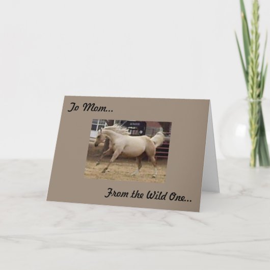 Moeder - Van de Wilde Kaart (Voorkant)