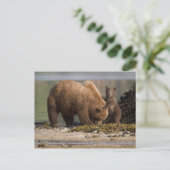 Moeder van het Beer van Grizzly met Cub op een str Briefkaart (Staand voorkant)