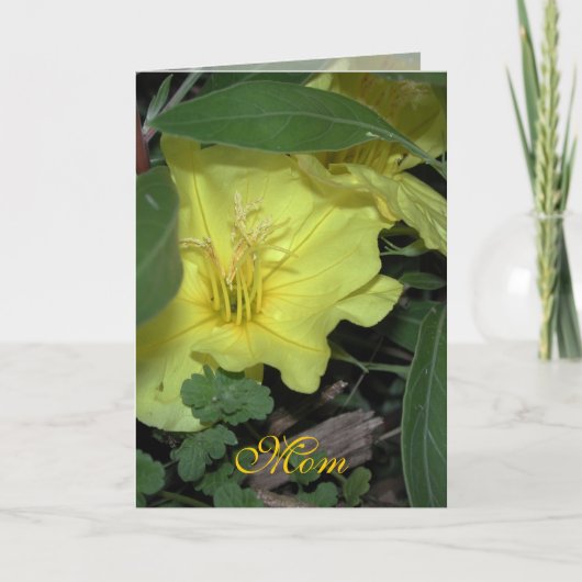 Moeder Verjaardag Kaart (Voorkant)