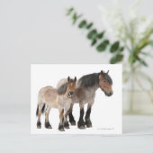 Moeder & Veulen Belgisch Paard Briefkaart (Staand voorkant)