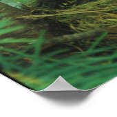 Moeder Voedervocht Voedervocht Hongaarse Baby Voge Poster (Hoek)